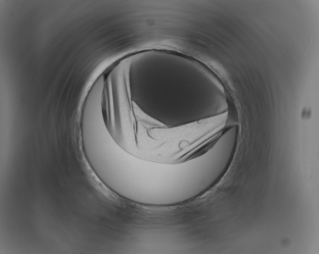 X0000094421200200712061044