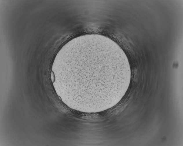 X0000094421201200712061043