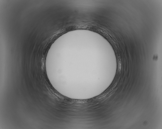 X0000094421204200712061043