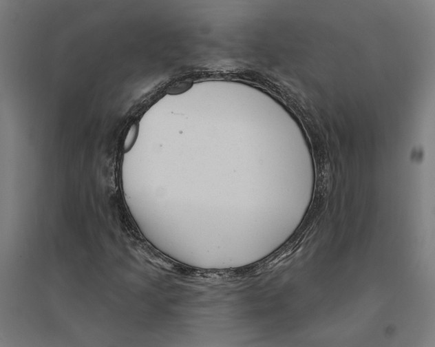 X0000094421205200712061043