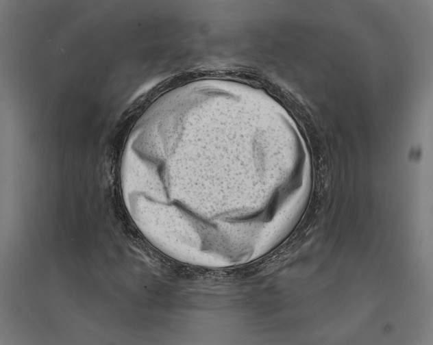 X0000094421206200712061043