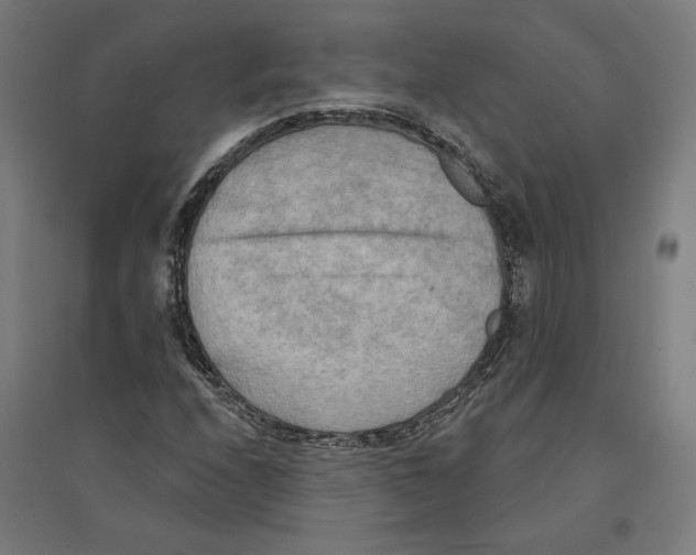 X0000094421208200712061043