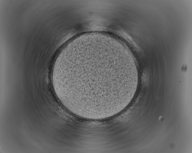 X0000094421209200712061043