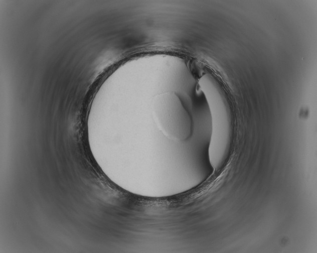 X0000094421210200712061043