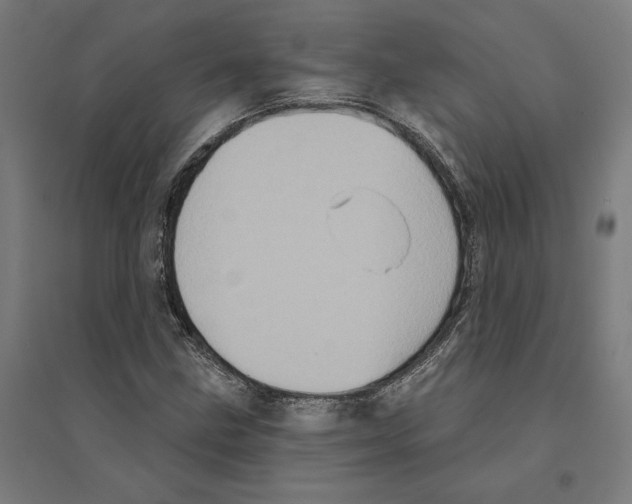 X0000094421211200712061043