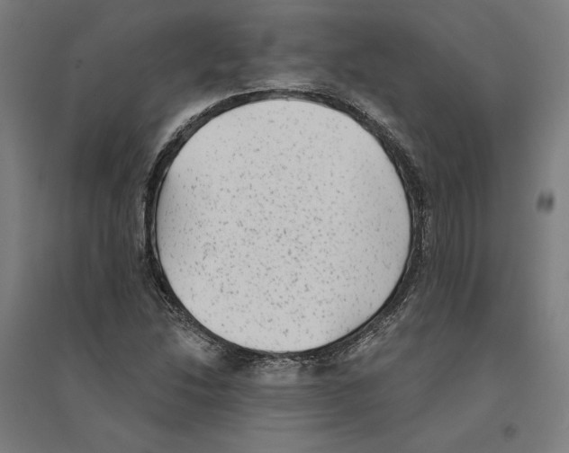 X0000094421214200712061043