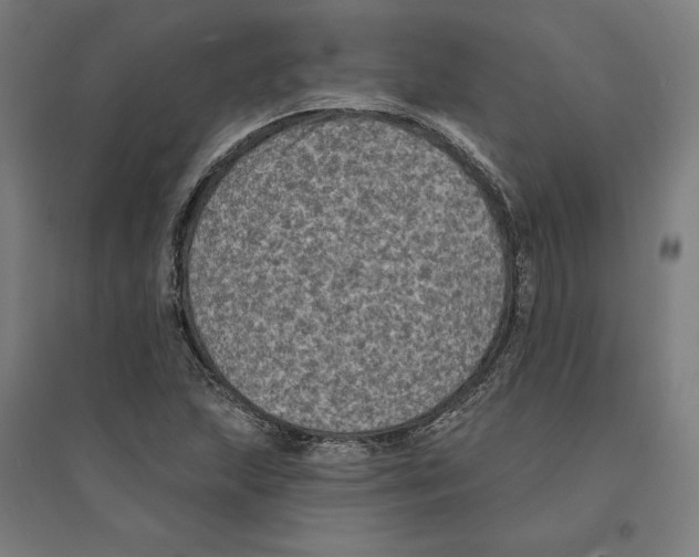 X0000094421215200712061043