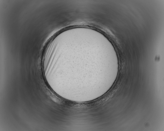 X0000094421216200712061043