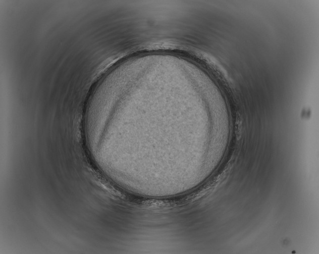 X0000094421217200712061043