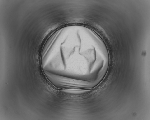 X0000094421218200712061043