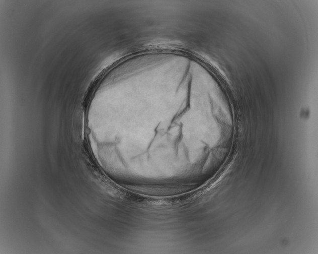 X0000094421219200712061043