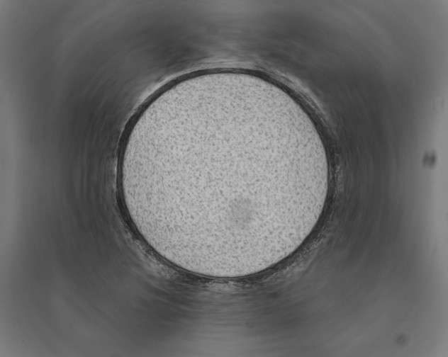 X0000094421220200712061043