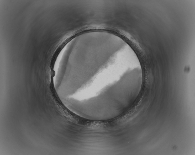 X0000094421221200712061043