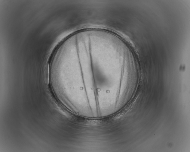 X0000094421223200712061043