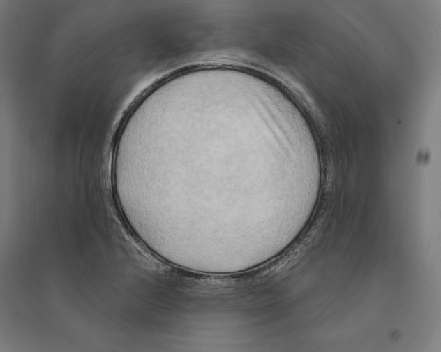 X0000094421224200712061043