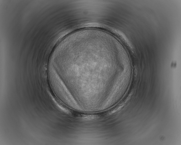 X0000094421225200712061043