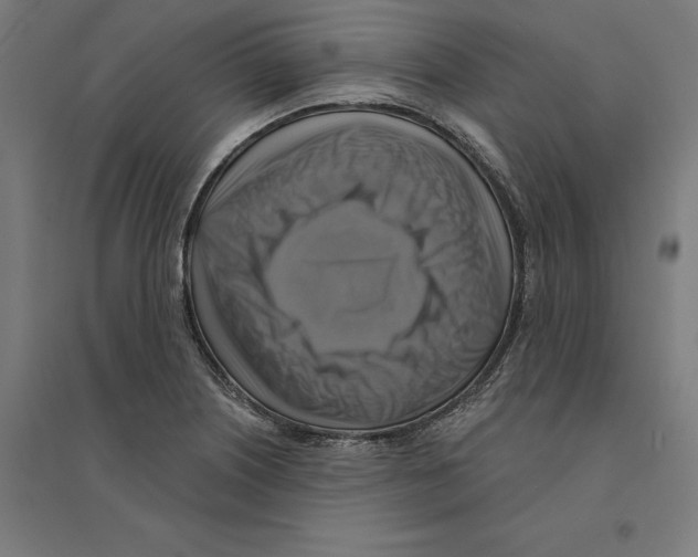 X0000094421226200712061043