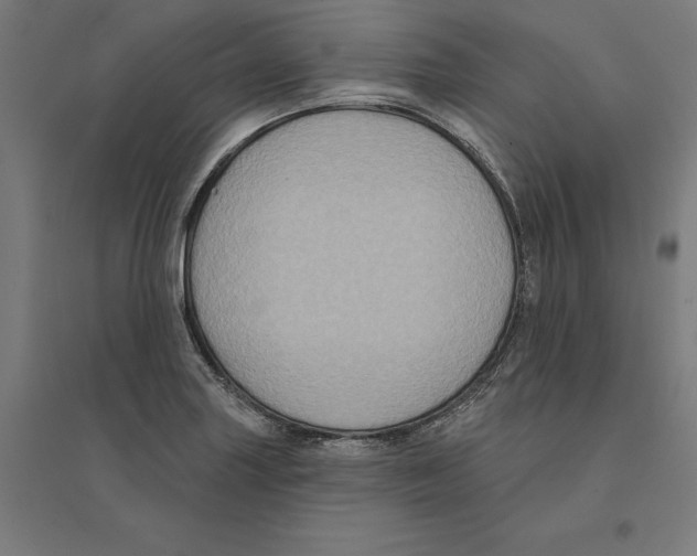 X0000094421227200712061043