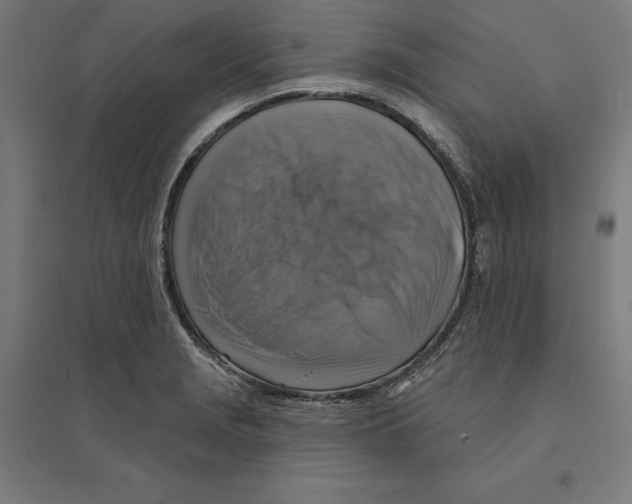 X0000094421229200712061043