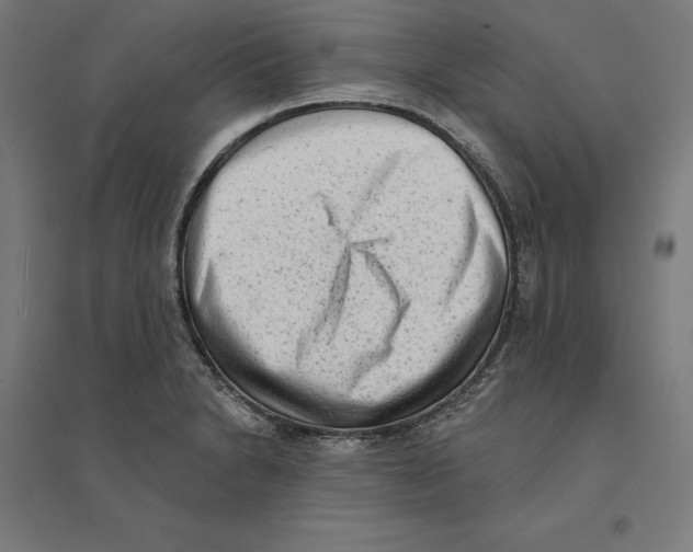 X0000094421230200712061044