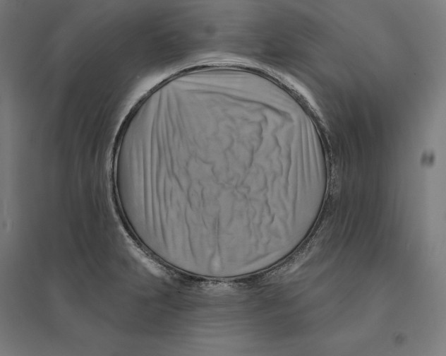 X0000094421231200712061044