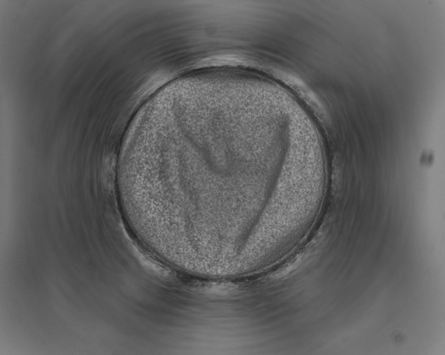 X0000094421233200712061044