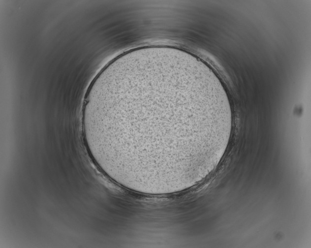 X0000094421236200712061044