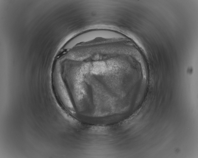 X0000094421237200712061044