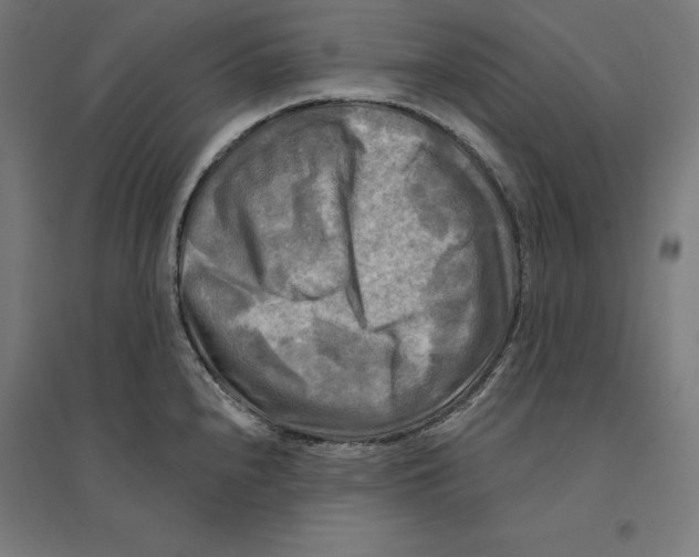 X0000094421240200712061044