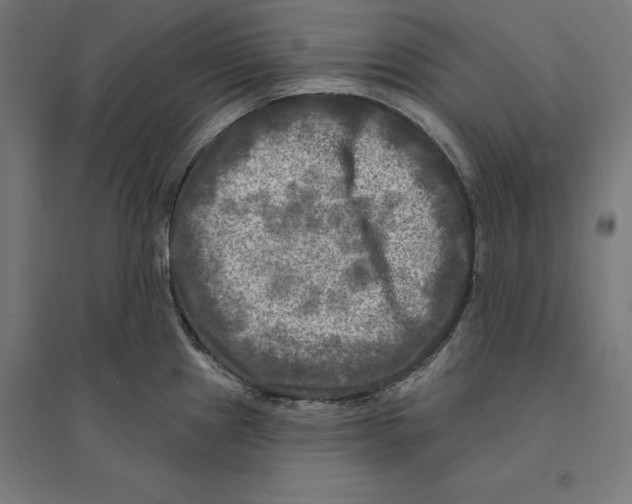 X0000094421241200712061044