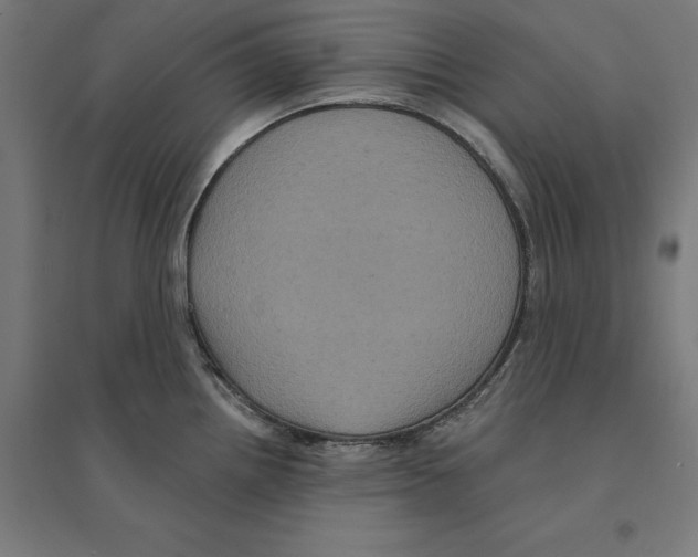 X0000094421242200712061044