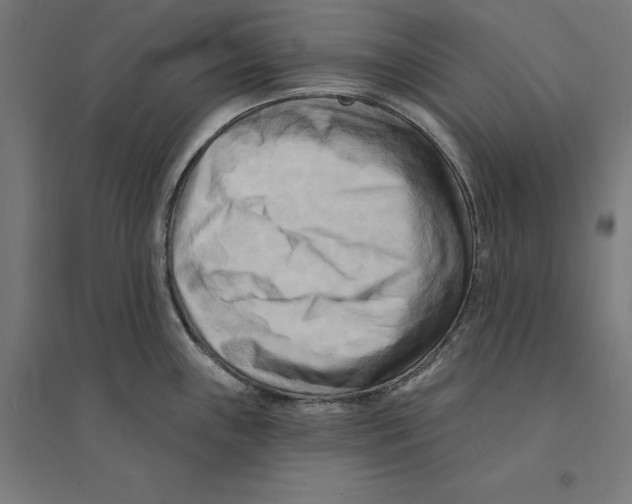 X0000094421243200712061044