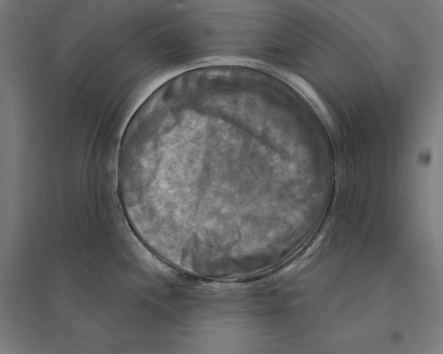 X0000094421244200712061044