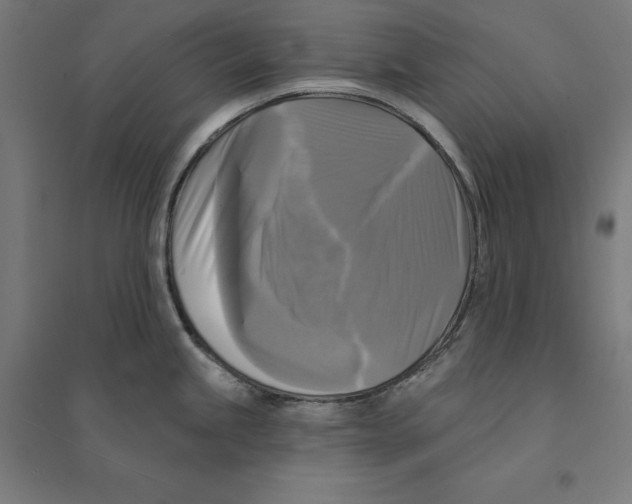 X0000094421245200712061044