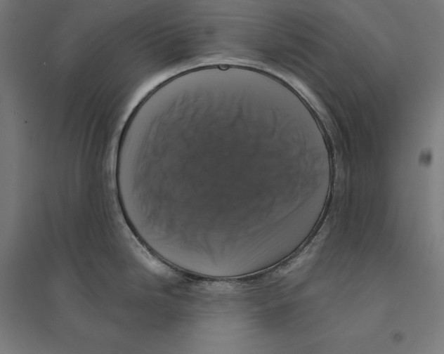 X0000094421246200712061044