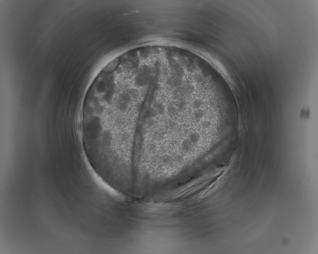 X0000094421247200712061044