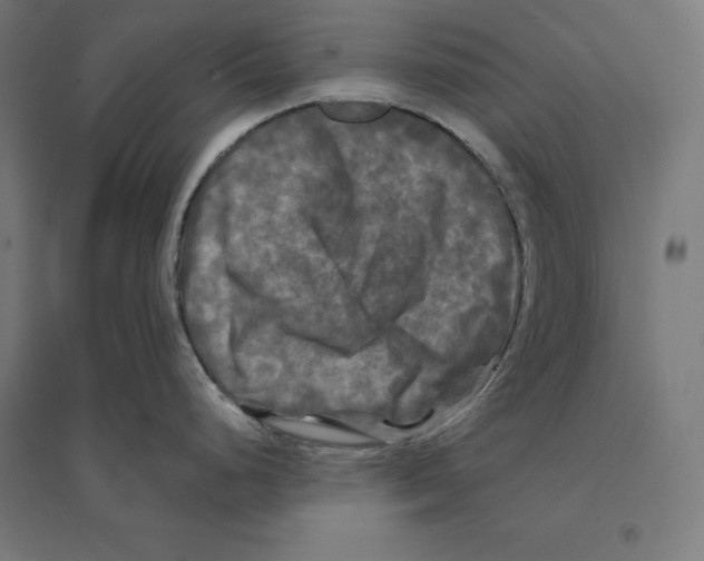 X0000094421248200712061044