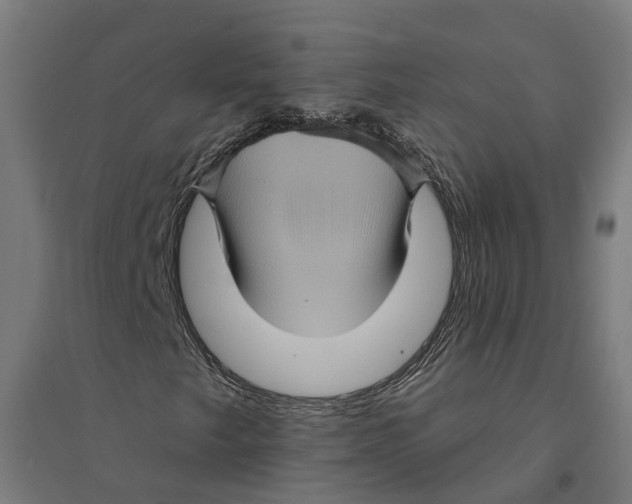 X0000094421249200712061043