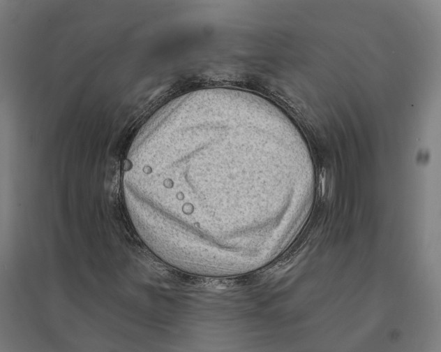 X0000094421251200712061043