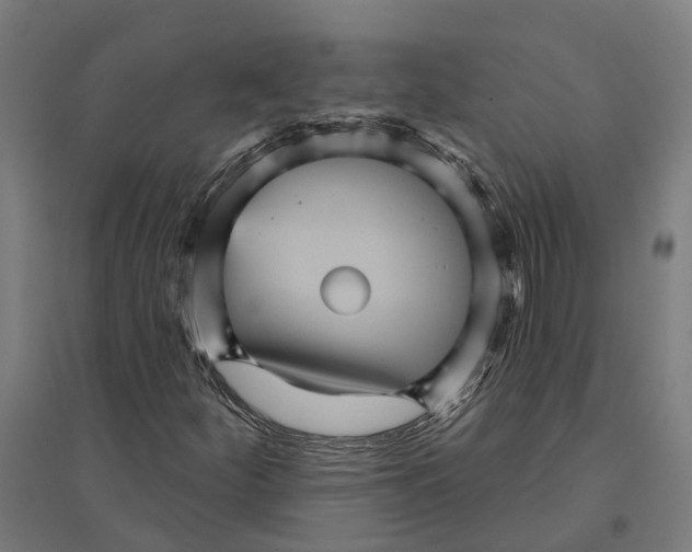 X0000094421252200712061043