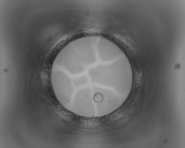 X0000094421254200712061043