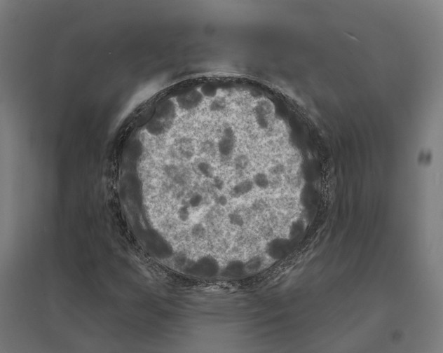 X0000094421255200712061043