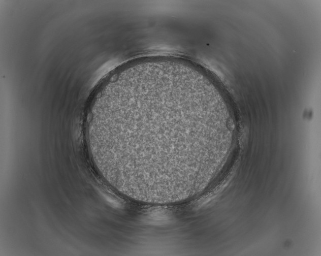 X0000094421259200712061043