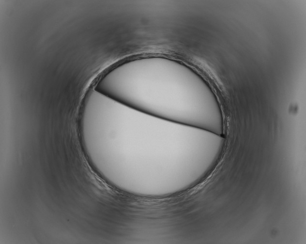 X0000094421260200712061043