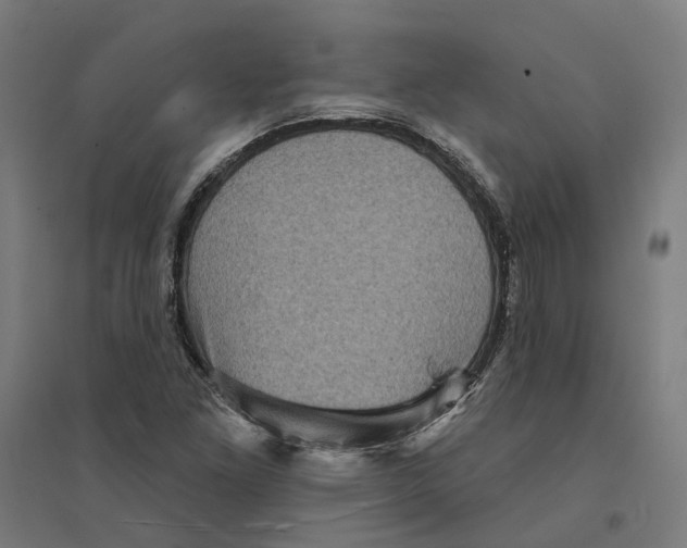 X0000094421261200712061043