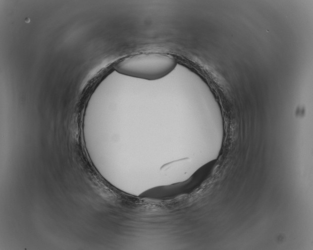 X0000094421262200712061043