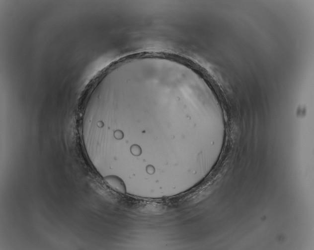 X0000094421263200712061043