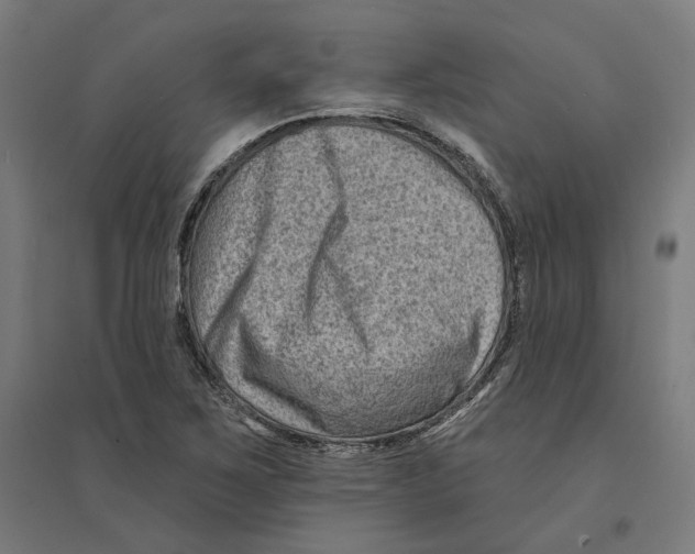 X0000094421267200712061043