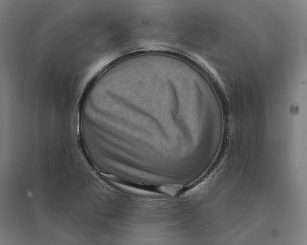 X0000094421269200712061043