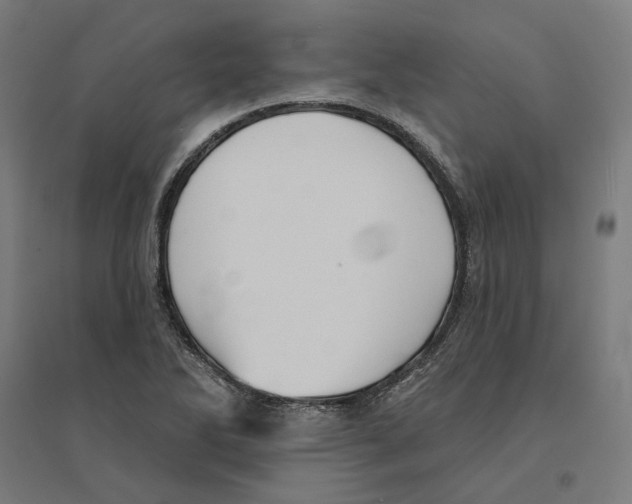 X0000094421270200712061043